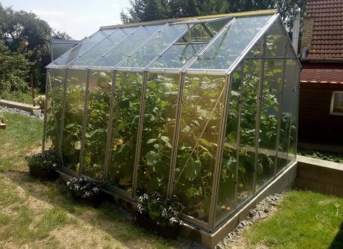 skleník LANITPLAST LIMES Viva V7/4,5 2,47x4,48 m číre sklo 3 mm